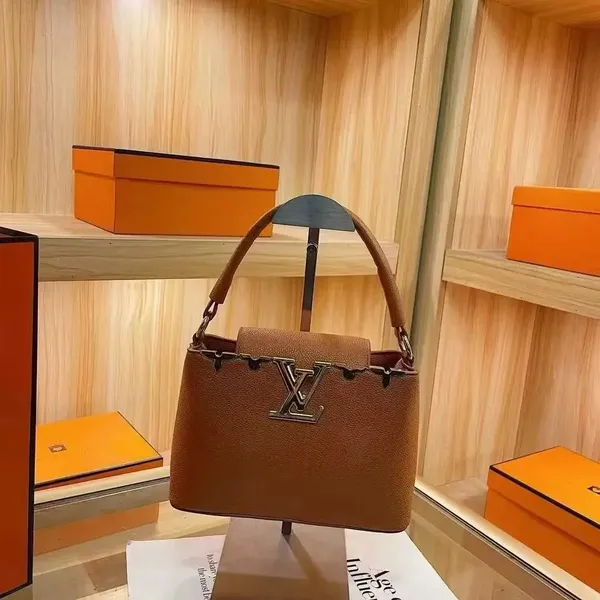 Louis Vuitton Bag Collection （30+） 4