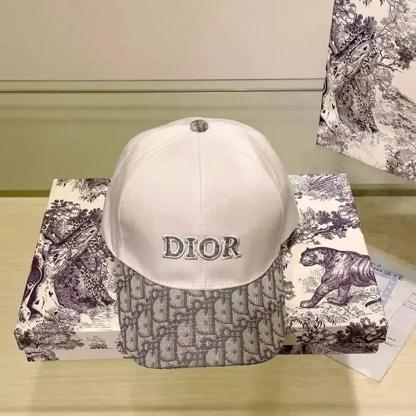 Dior Hat 6