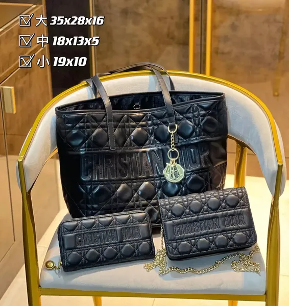 Dior Saddle Bag [14 styles] 2
